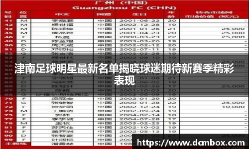 津南足球明星最新名单揭晓球迷期待新赛季精彩表现